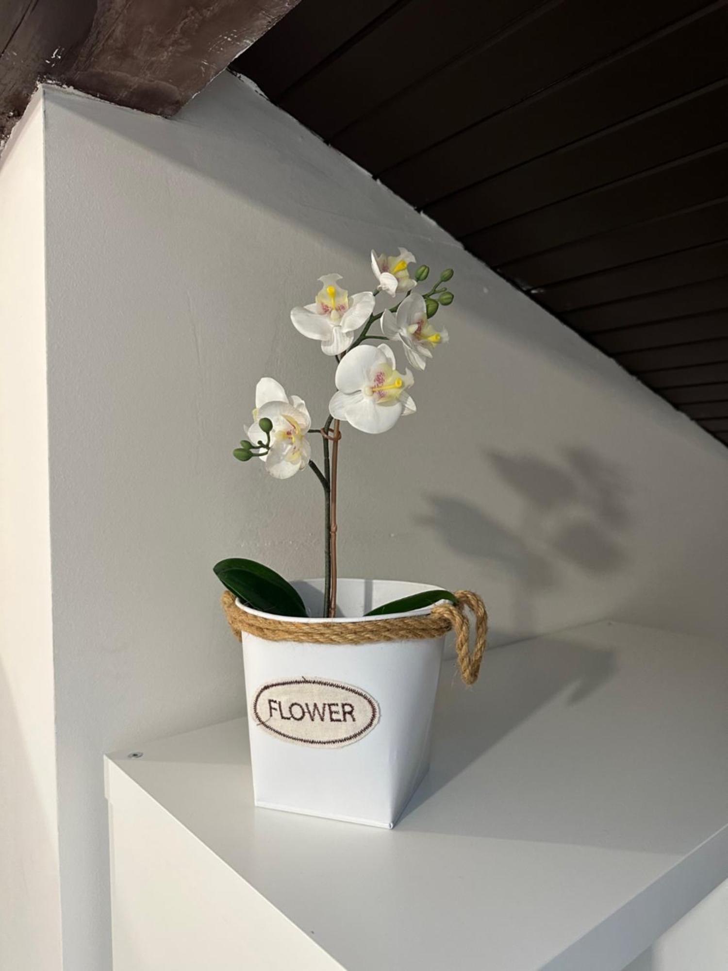 Apartmany Luxor Ceska Lipa Luaran gambar